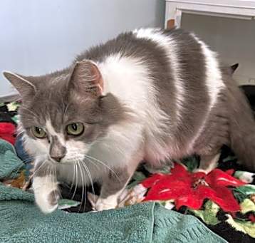 Photo of Princess