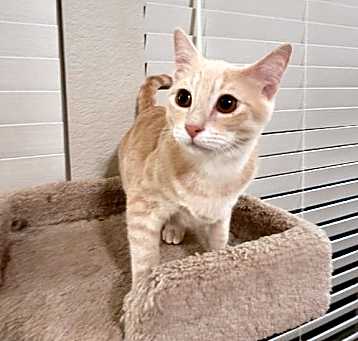 Photo of Adama