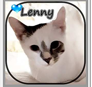 Photo of LENNY