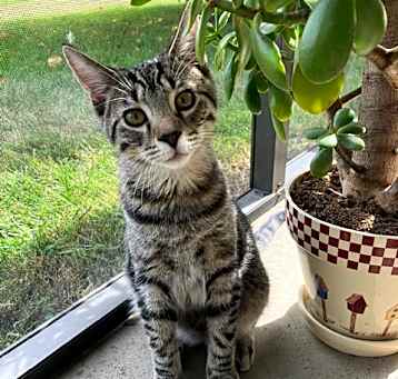 Photo of Bentley