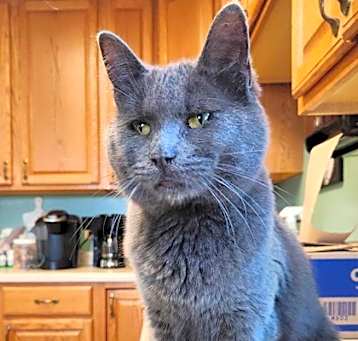 Photo of Elgie