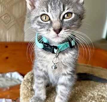 Photo of Colby