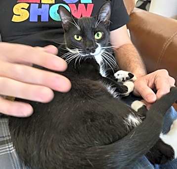 Photo of Skunkie