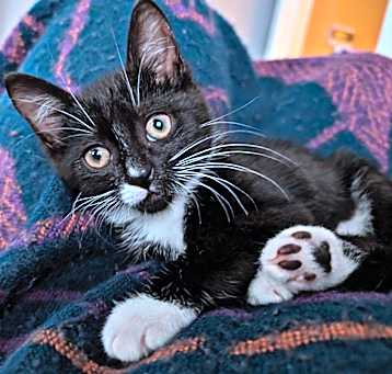 Photo of Asher