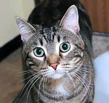 Photo of Noah
