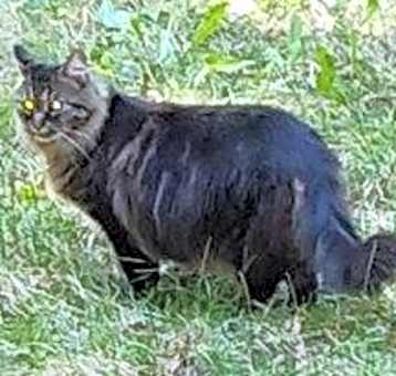 Photo of Duchess