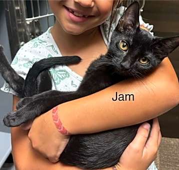 Photo of Blackberry Jam