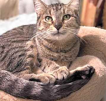 Photo of Romi