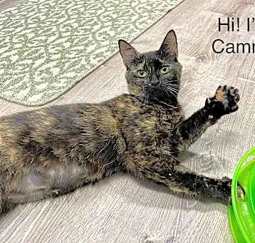 Photo of Cammy-fee sponsored