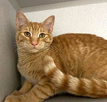 Photo of STERLING