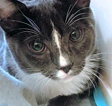 Photo of Tom
