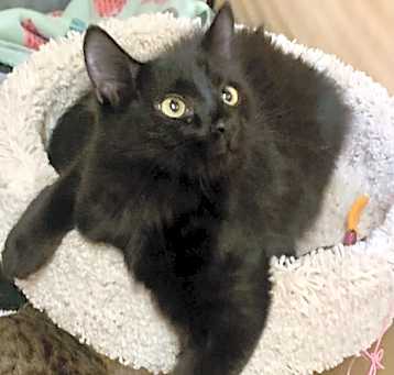 Photo of Reggie