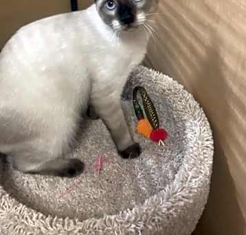 Photo of Elliot
