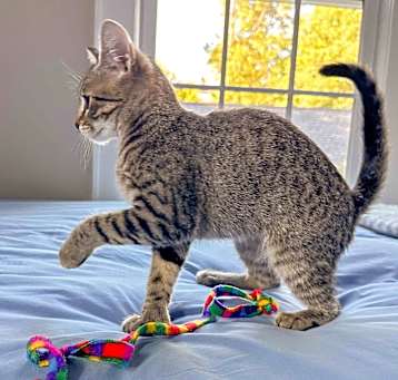 Photo of Sassy