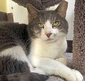 Photo of Micah