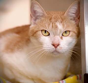 Photo of Maude