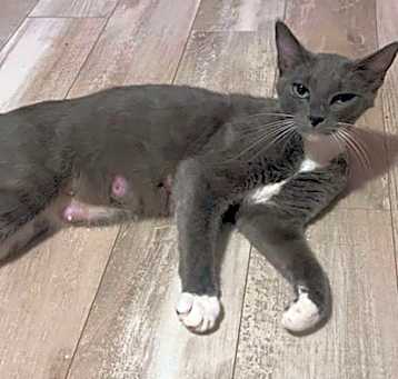 Photo of Fifi