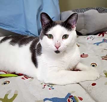 Photo of Captain