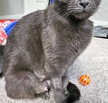Photo of Misty