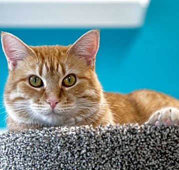 Photo of Samantha