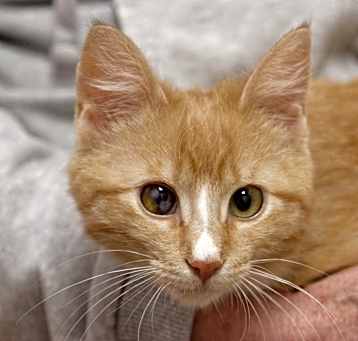 Photo of Ginnie
