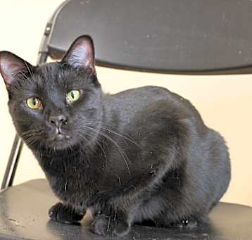 Photo of Coal