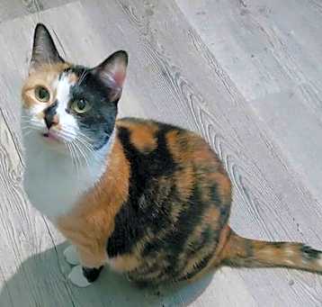 Photo of Helga