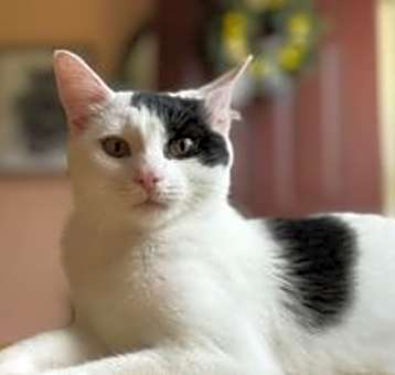 Photo of Minnie