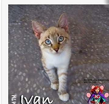 Photo of Ivan