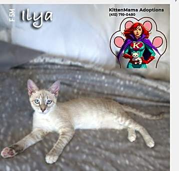 Photo of Ilya