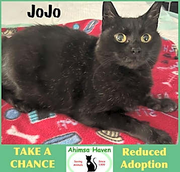 Photo of JoJo