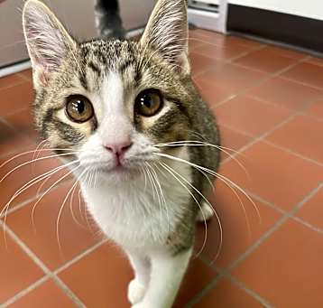 Photo of Uno