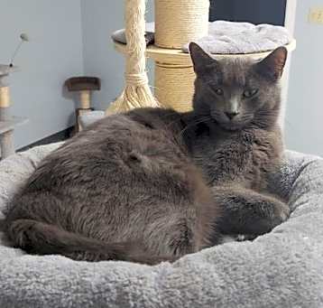 Photo of Sam