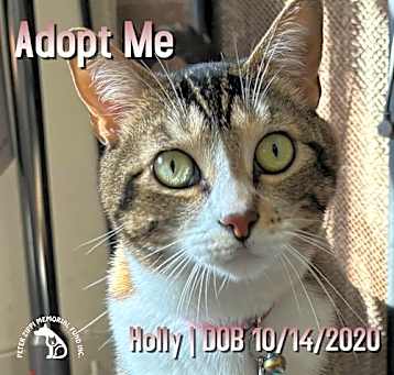 Photo of Holly