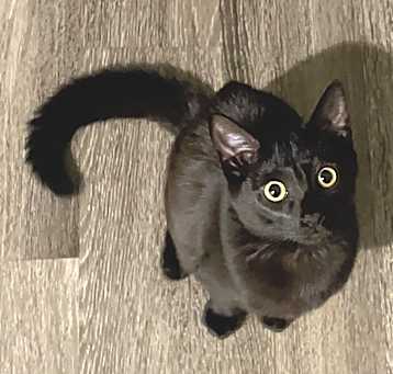 Photo of Mila