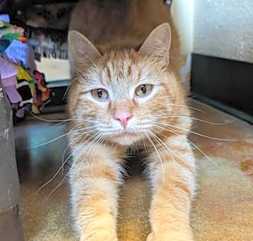 Photo of Godric