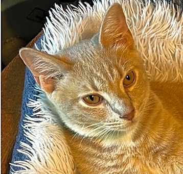 Photo of Zappa aka Zappy