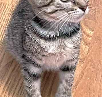 Photo of Darlie