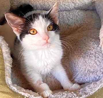 Photo of Yumi