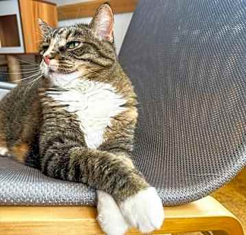 Photo of Sunni