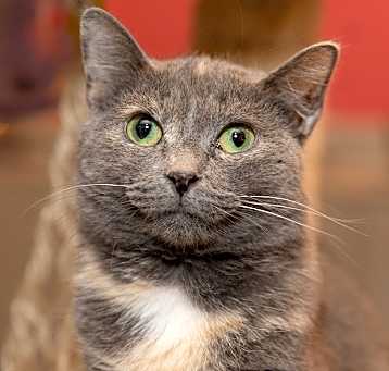 Photo of Wendy