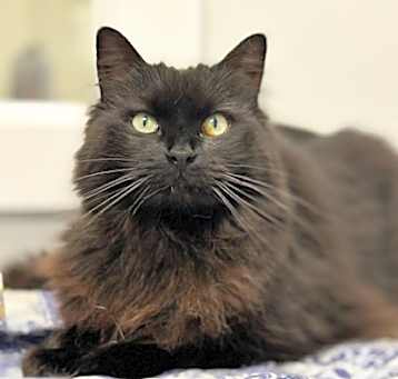 Photo of Monty