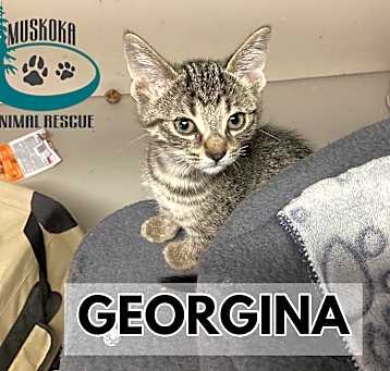 Photo of Georgina
