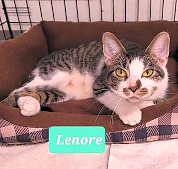 Photo of Lenore