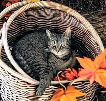 Photo of Catherine