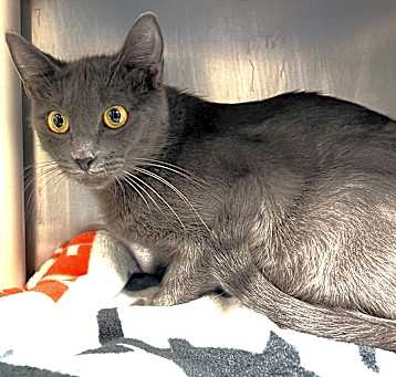Photo of 656084 Stormy