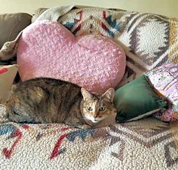Photo of Loving Lexi