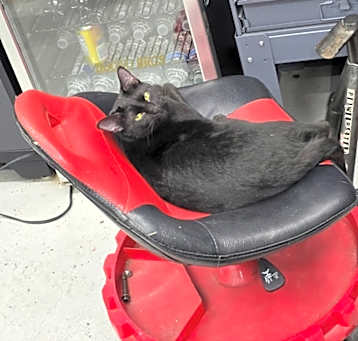Photo of Matilda