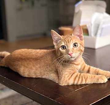 Photo of Benny