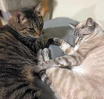 Photo of Freeway & Francisco